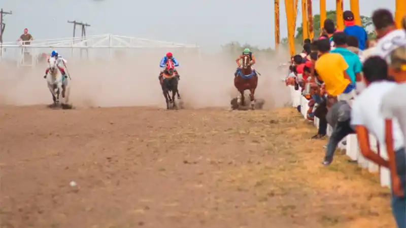 Un accidente durante una carrera de caballos terminó con un jockey internado