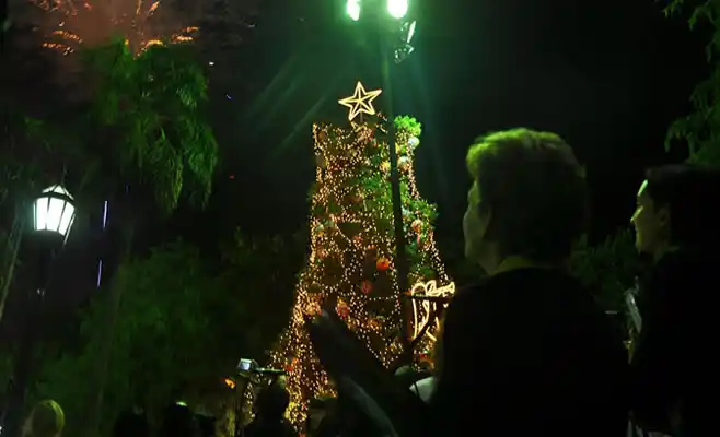 Iluminarán un árbol navideño gigante en Zárate
