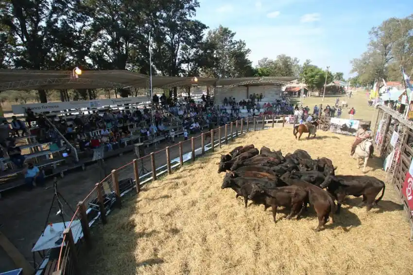 Exitoso remate de Cabañas Formoseñas Integradas