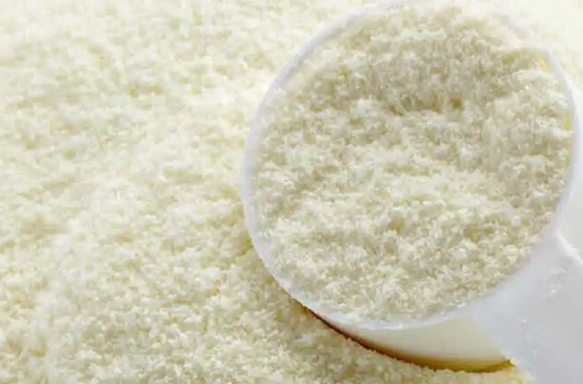 Las exportaciones santafesinas de productos lácteos lideran el mercado nacional