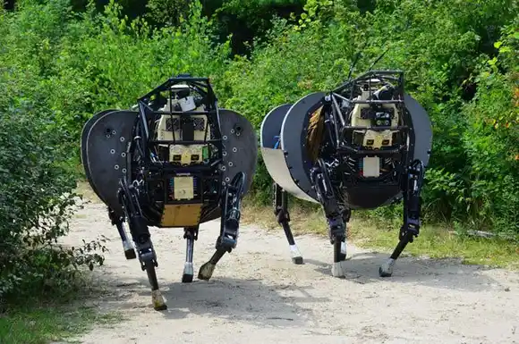 Perros robots vigilarán la frontera entre EEUU y México