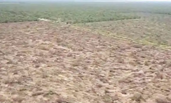 Chaco: multarán a desmontadores de Pampa del Infierno