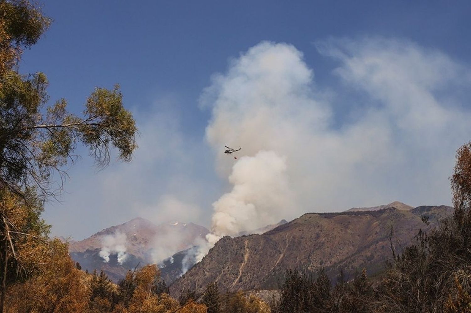 Decretan “estado de emergencia agropecuaria” en el departamento de Bariloche