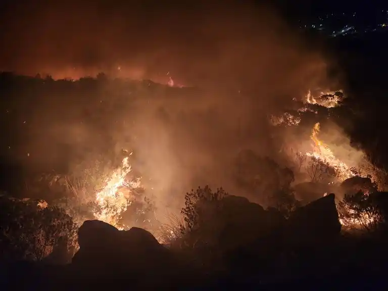 Ardua labor de bomberos para controlar un incendio forestal en Tandil