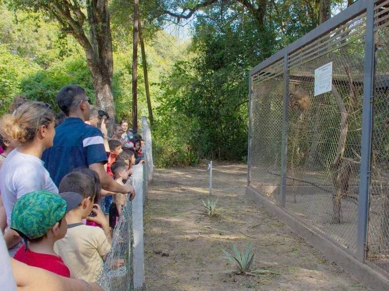 Más de dos mil personas visitaron la Reserva Guaycolec