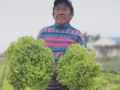 Paipperos trabajan sin pausa para cumplir 
con los alimentos para las familias formoseñas