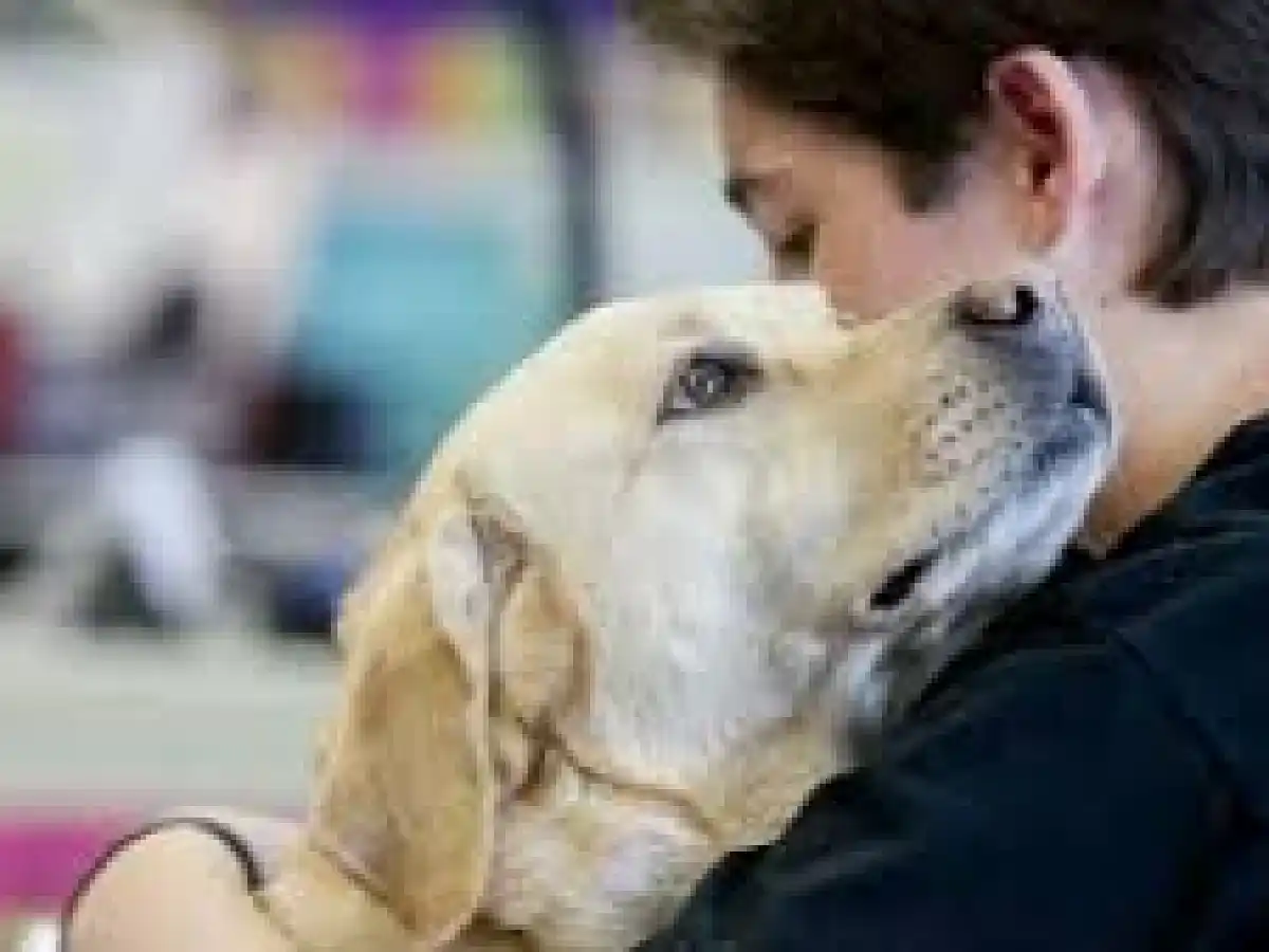 Espectáculo a beneficio de Bio Animalis