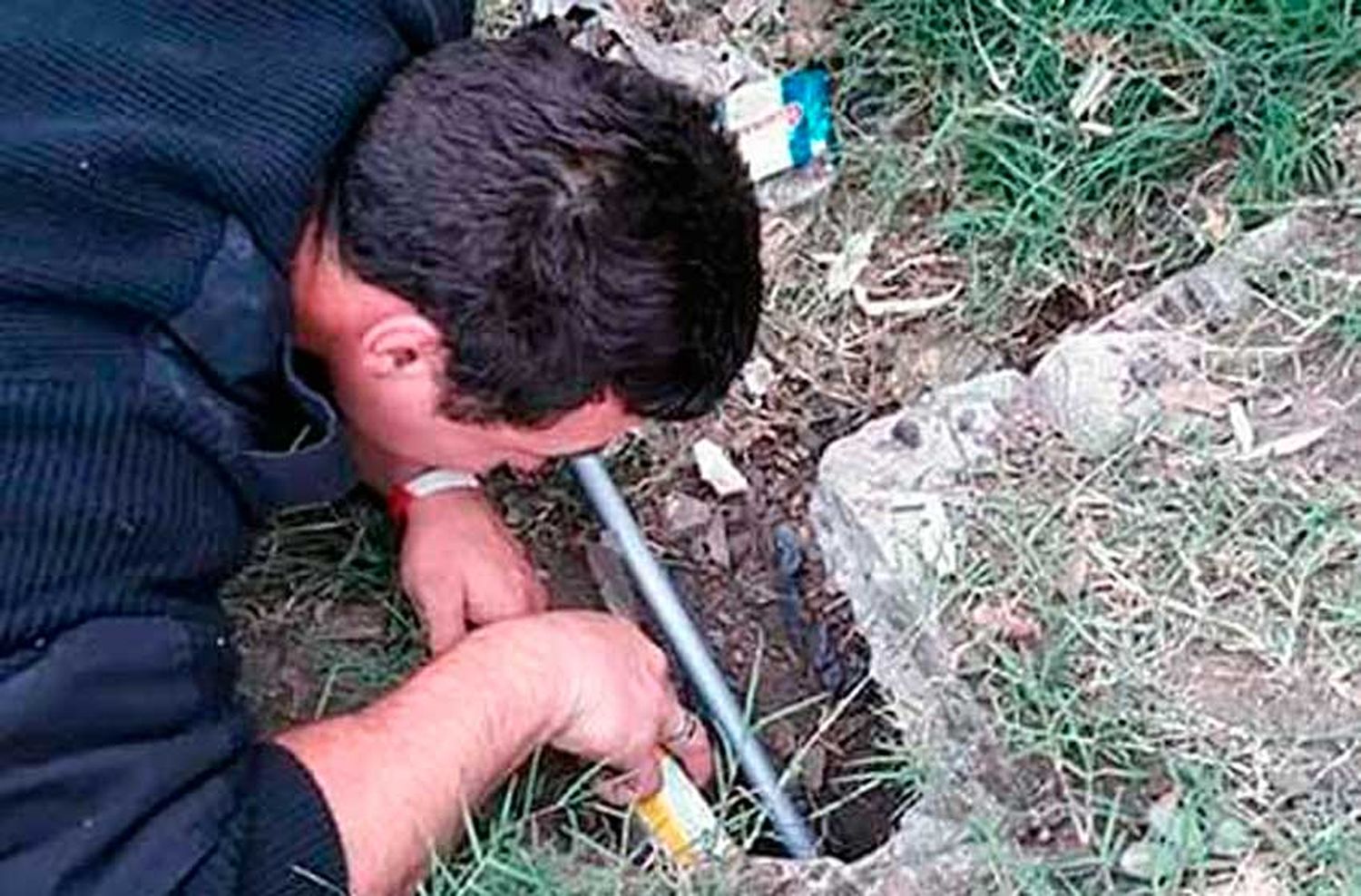 Bomberos Zapadores rescataron cachorritos de una alcantarilla