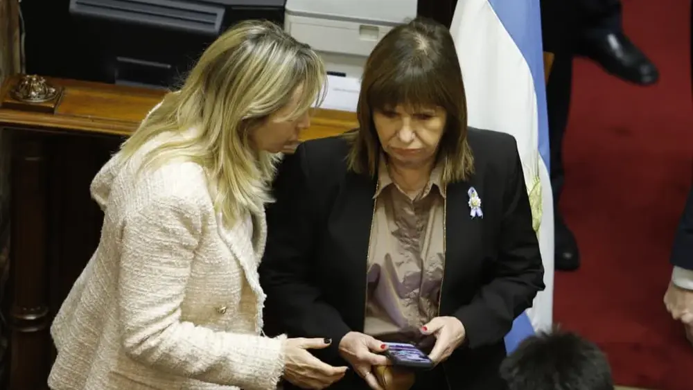 La senadora Patricia Bullrich en la sesión.