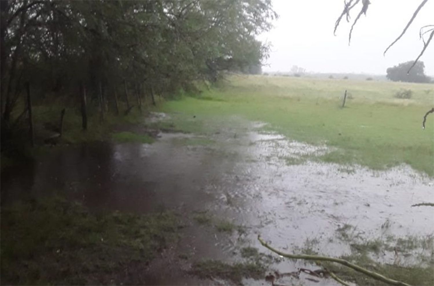 El vecino fumigó y la lluvia le llevó el veneno a su casa