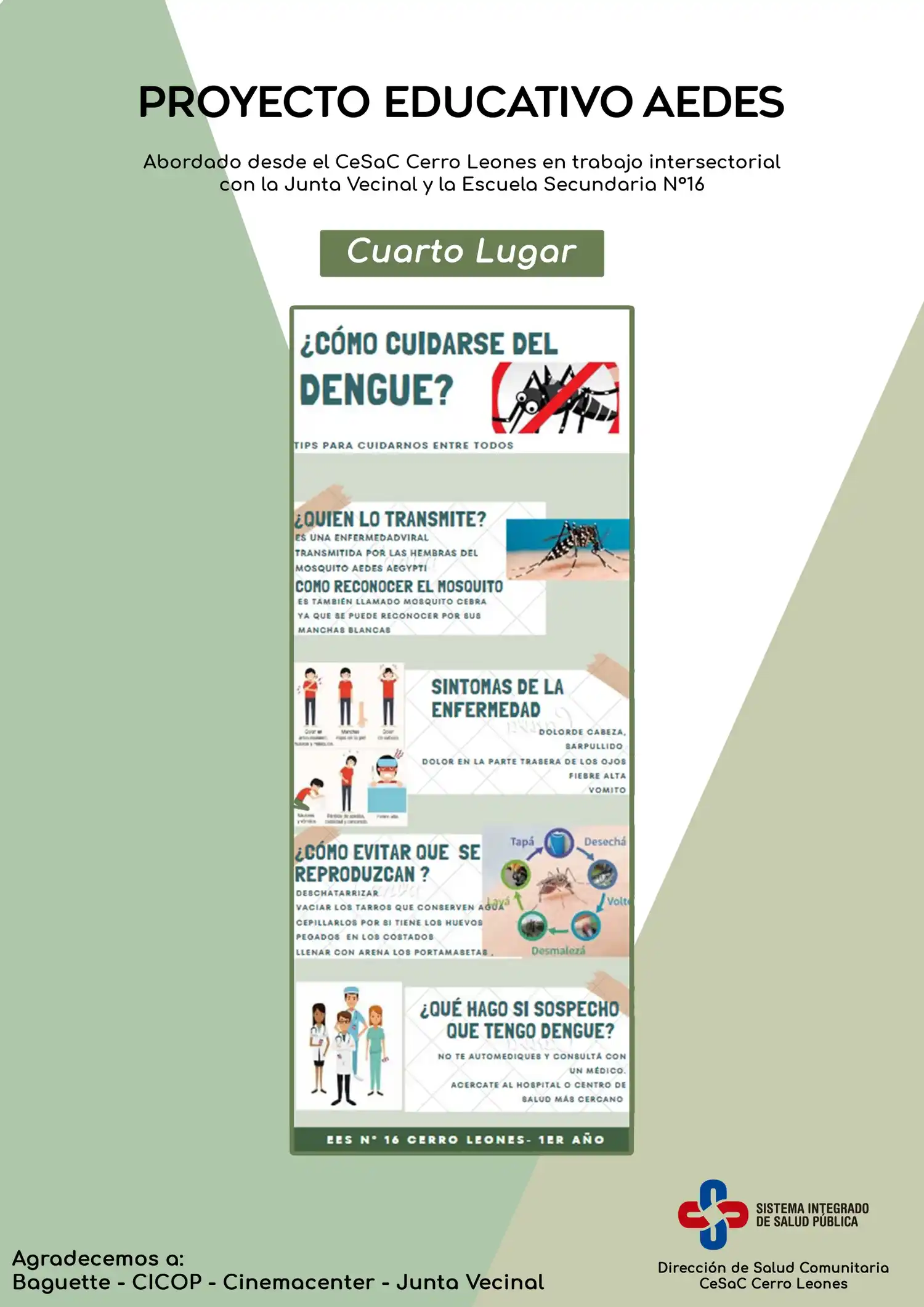 proyecto aedes cerro leones - 6