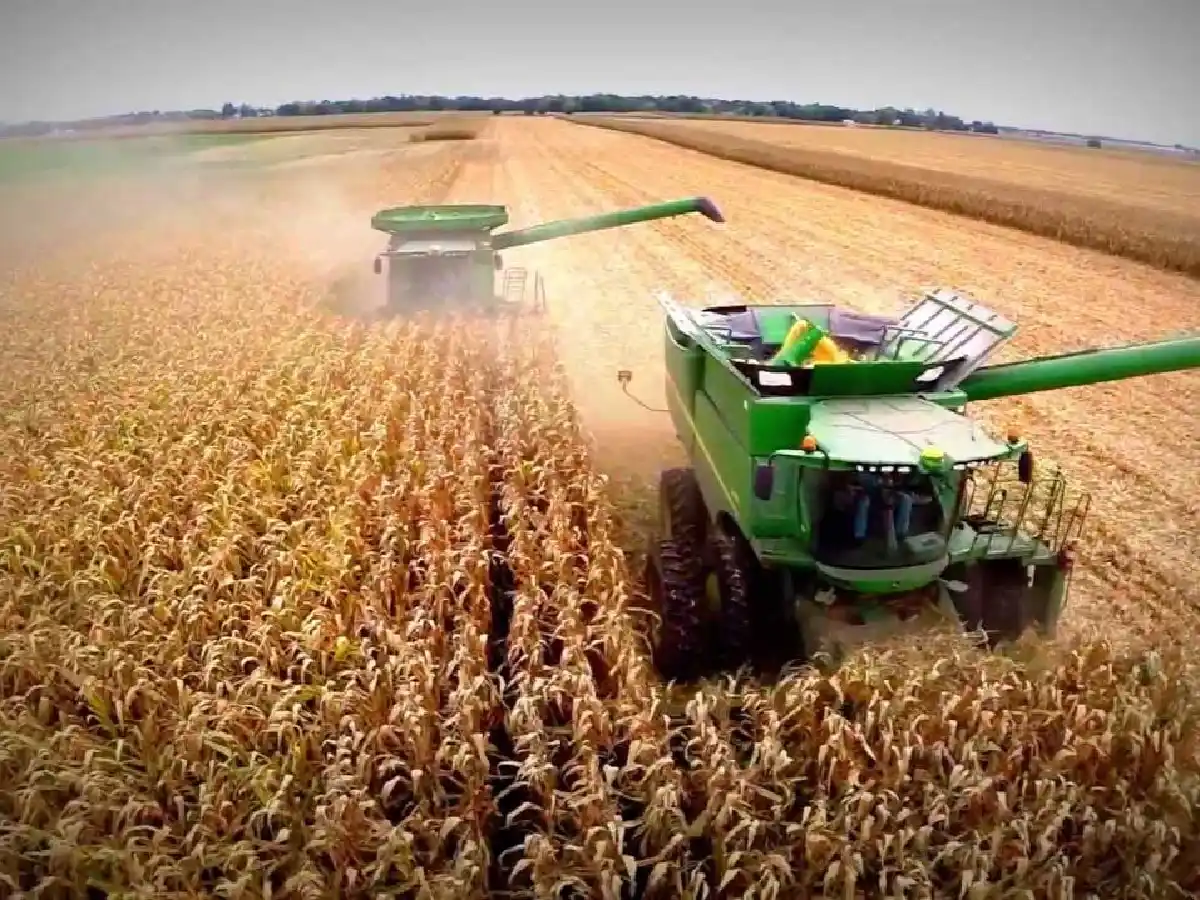 Estiman que Córdoba perdería US$ 660 millones por la baja de precios en la soja y maíz