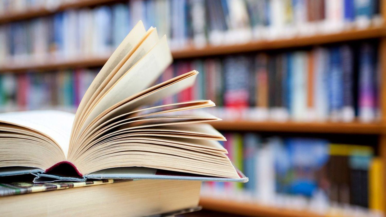 Llegan los días donde los libros son protagonistas