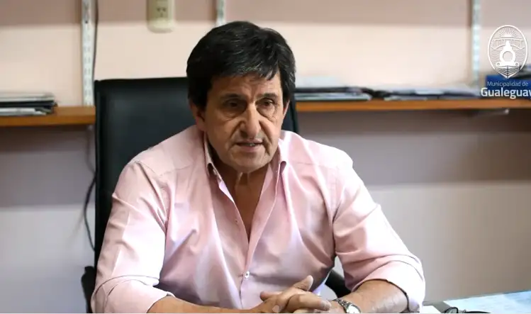 Guillermo Antola sobre el viejo Puente Pellegrini: “El camino hoy es desarmarlo”