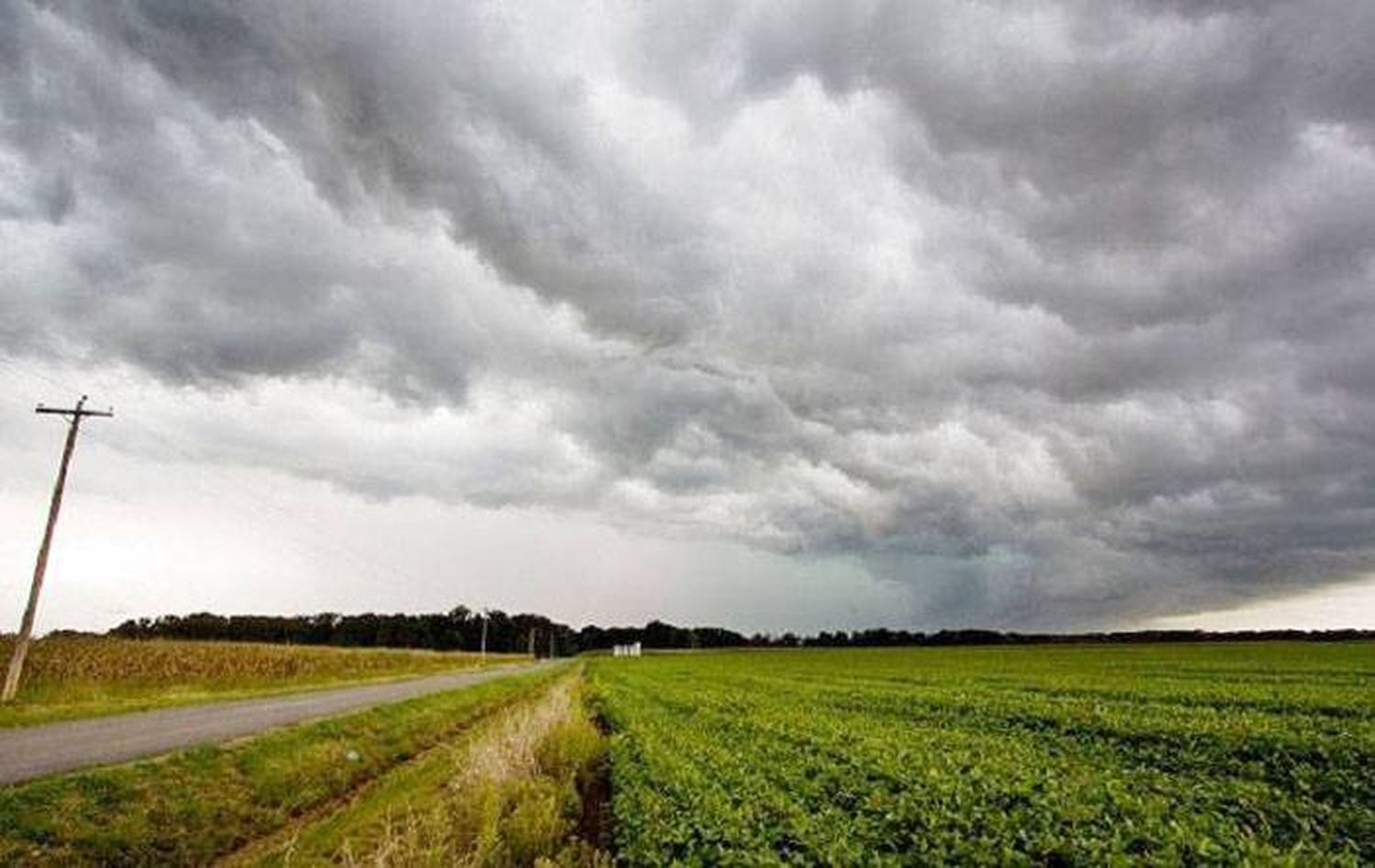 Las lluvias mejoraron la situación de sequía en gran parte de Entre Ríos