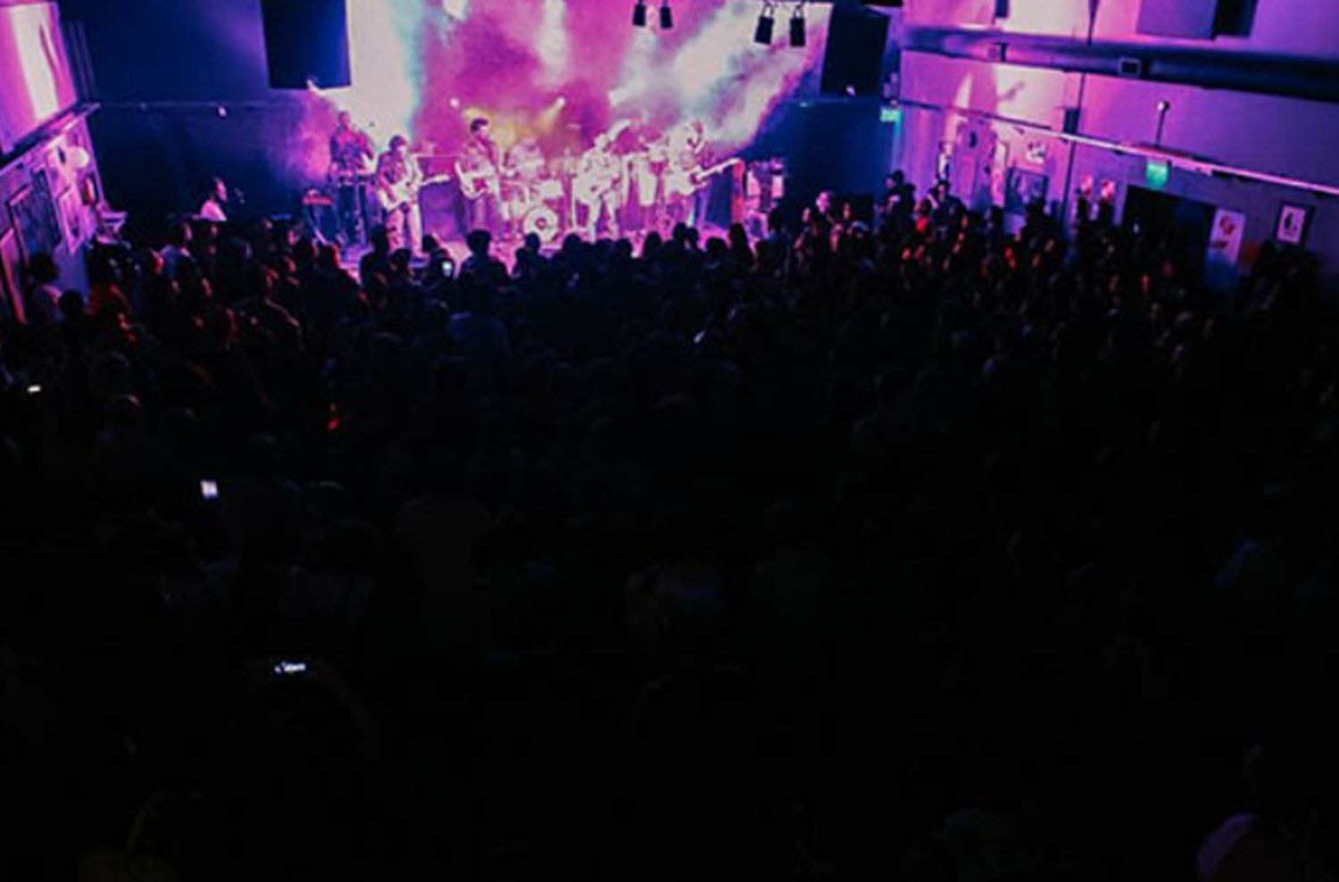 La referencia cultural platense “Ciudad de Gatos” llega a Mar del Plata