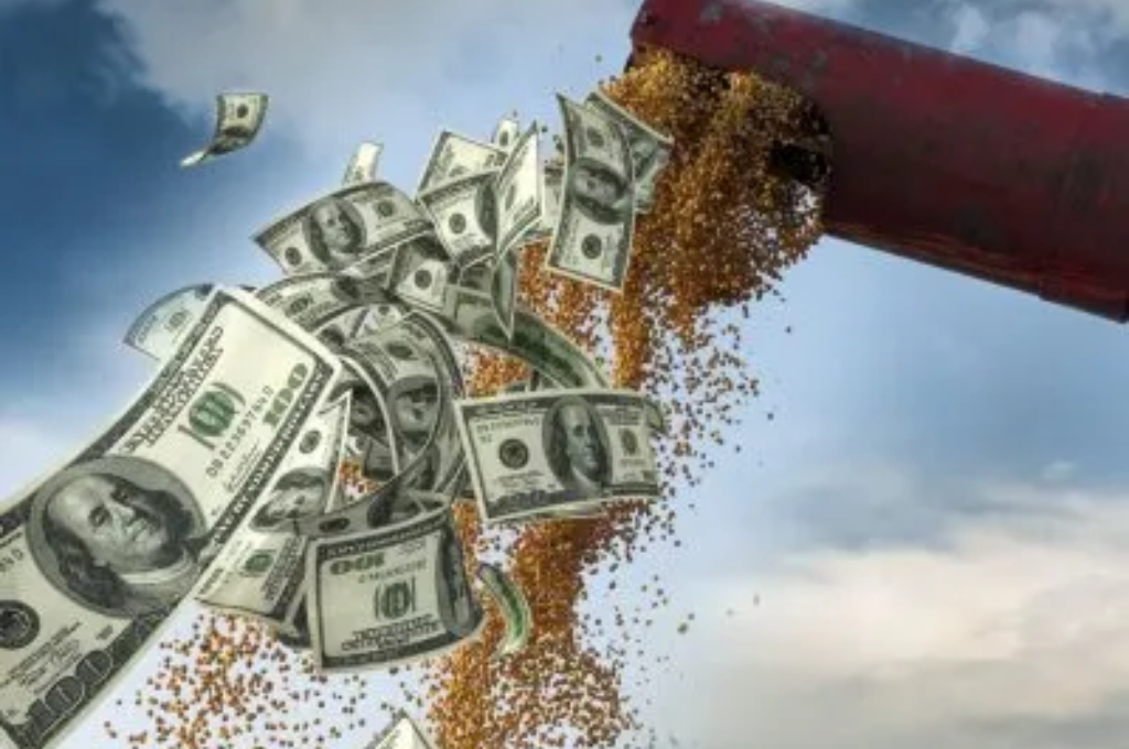 El Gobierno Nacional anunciaría este viernes una nueva versión del dólar soja,