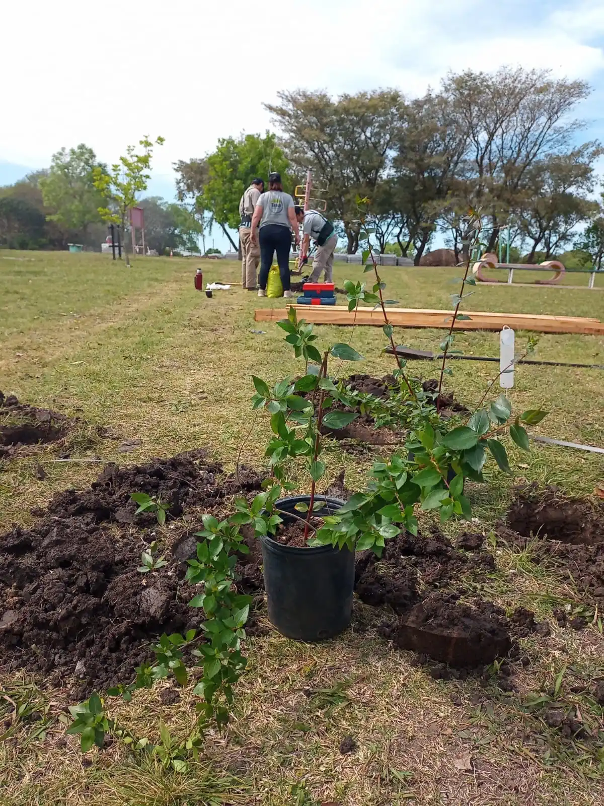 Parquización del parque Los Teritos