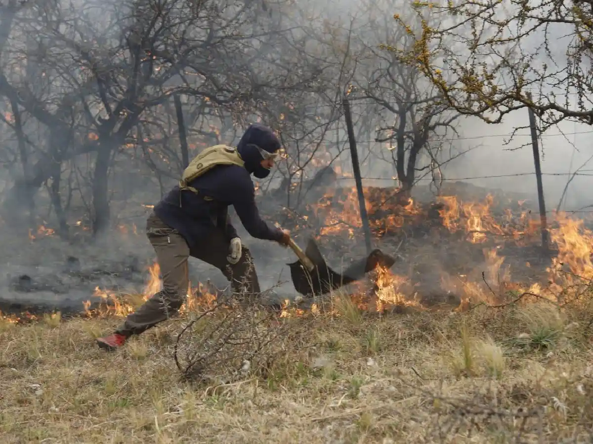 Impulsan ley para prohibir por 20 años la venta de zonas incendiadas en Córdoba  