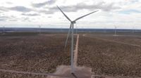 La empresa Ternium comenzó a operar el parque eólico “Vientos de Olavarría”
