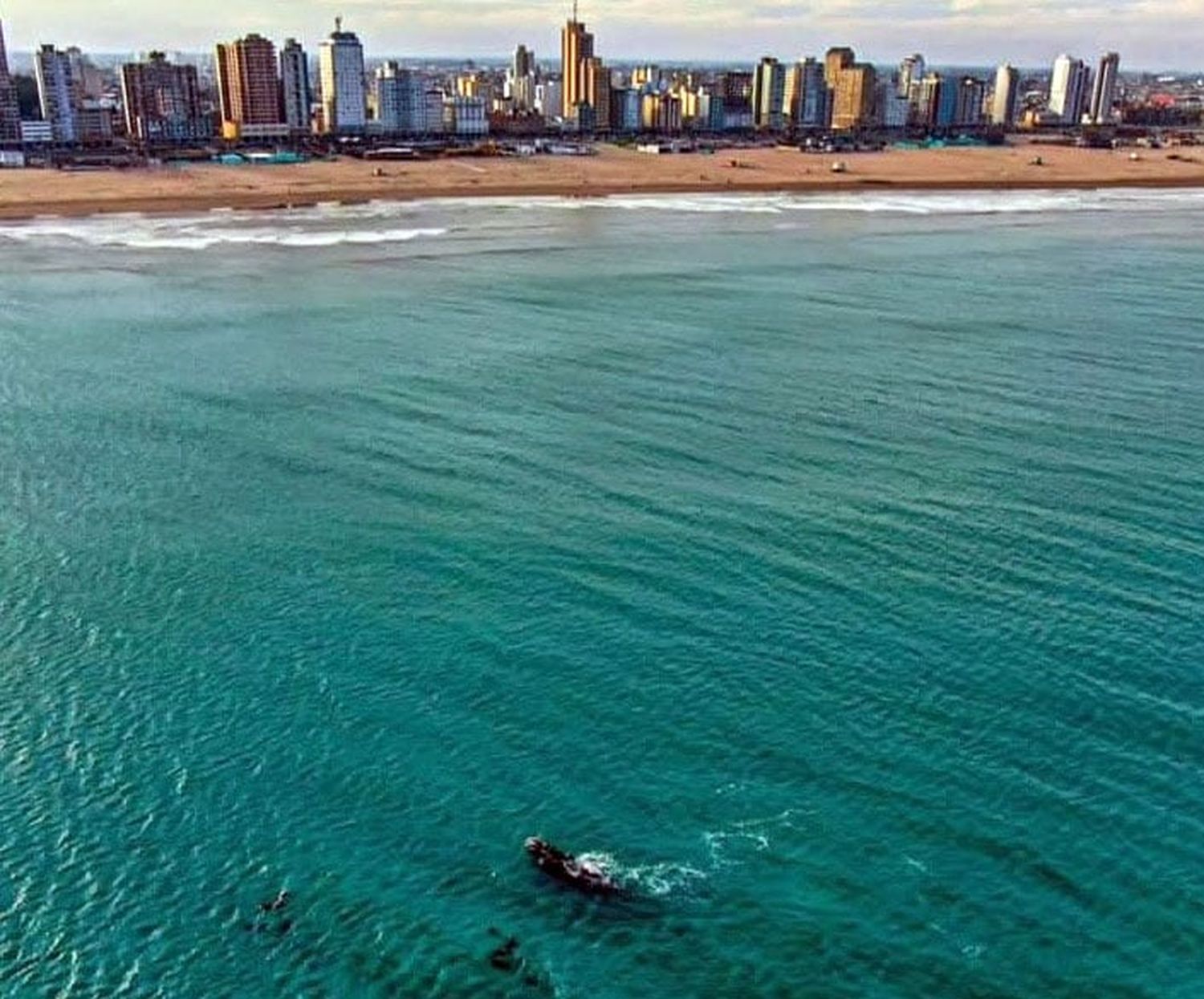 Ballenas, a 400 metros es “zona segura”