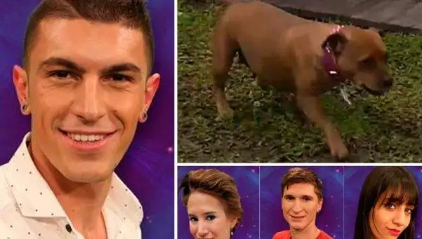 Gran Hermano: 3 nominados, un expulsado y un ingreso “perruno”