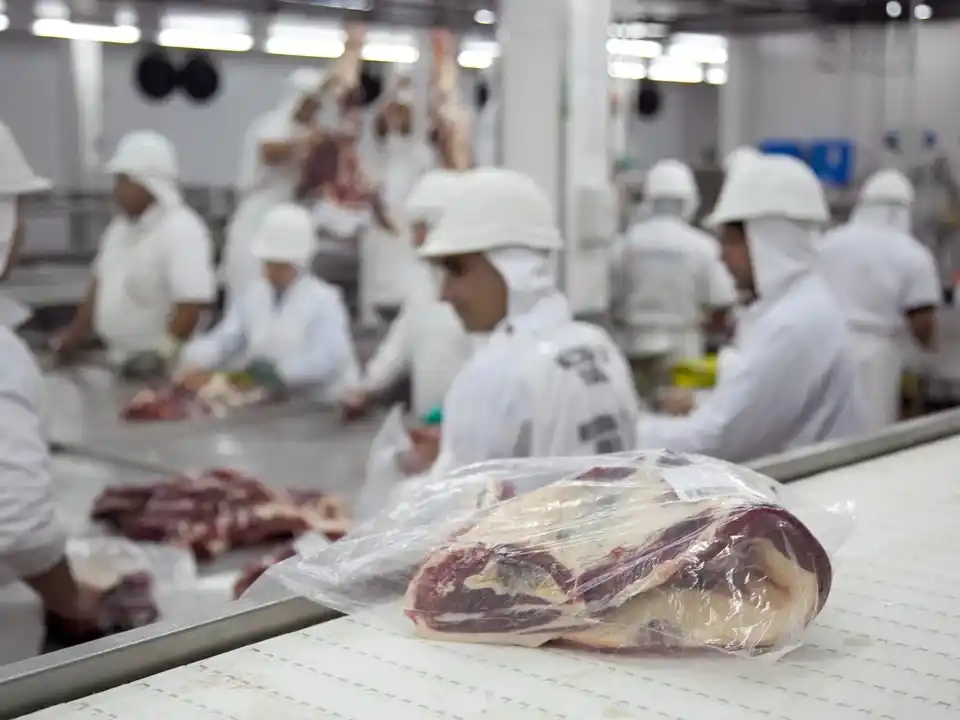 Las exportaciones de carne superaron las 900 mil toneladas en 2024