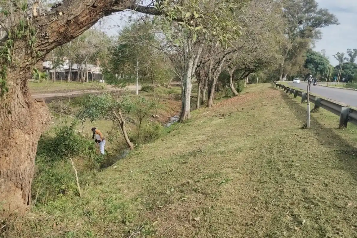 Realizan el mantenimiento del camino Gualeguaychú–Pueblo Belgrano y piden no arrojar basura
