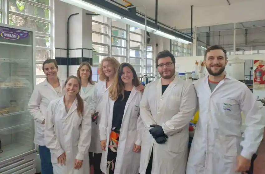 Investigadores de la Universidad estudian el uso de residuos agrícolas para generar energía renovable