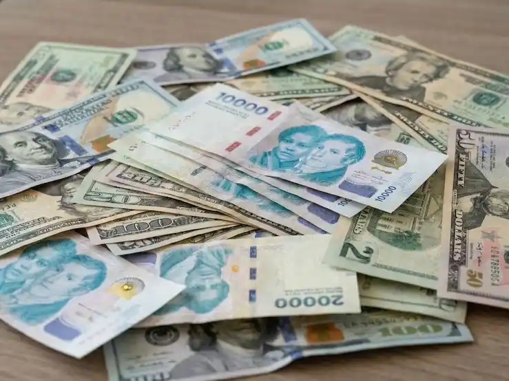 Cuánto se apreció el peso respecto del dólar en lo que va del año y cómo rankea con otras monedas de la región