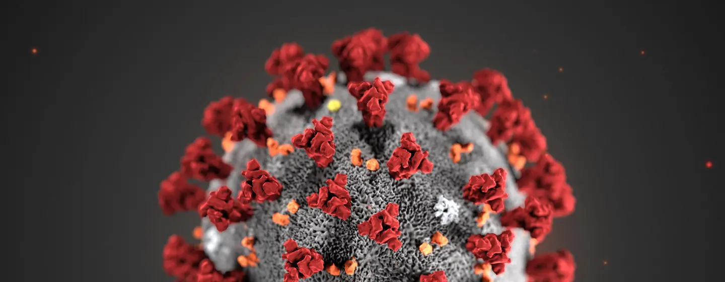 #Coronavirus 8 de agosto: 6.141 nuevos casos y 158 muertes reportadas en las últimas 24 horas