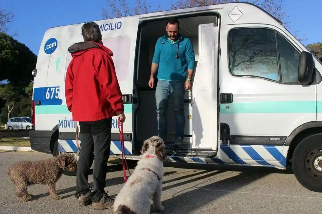 Disponen que el municipio cuente con una Ambulancia Veterinaria