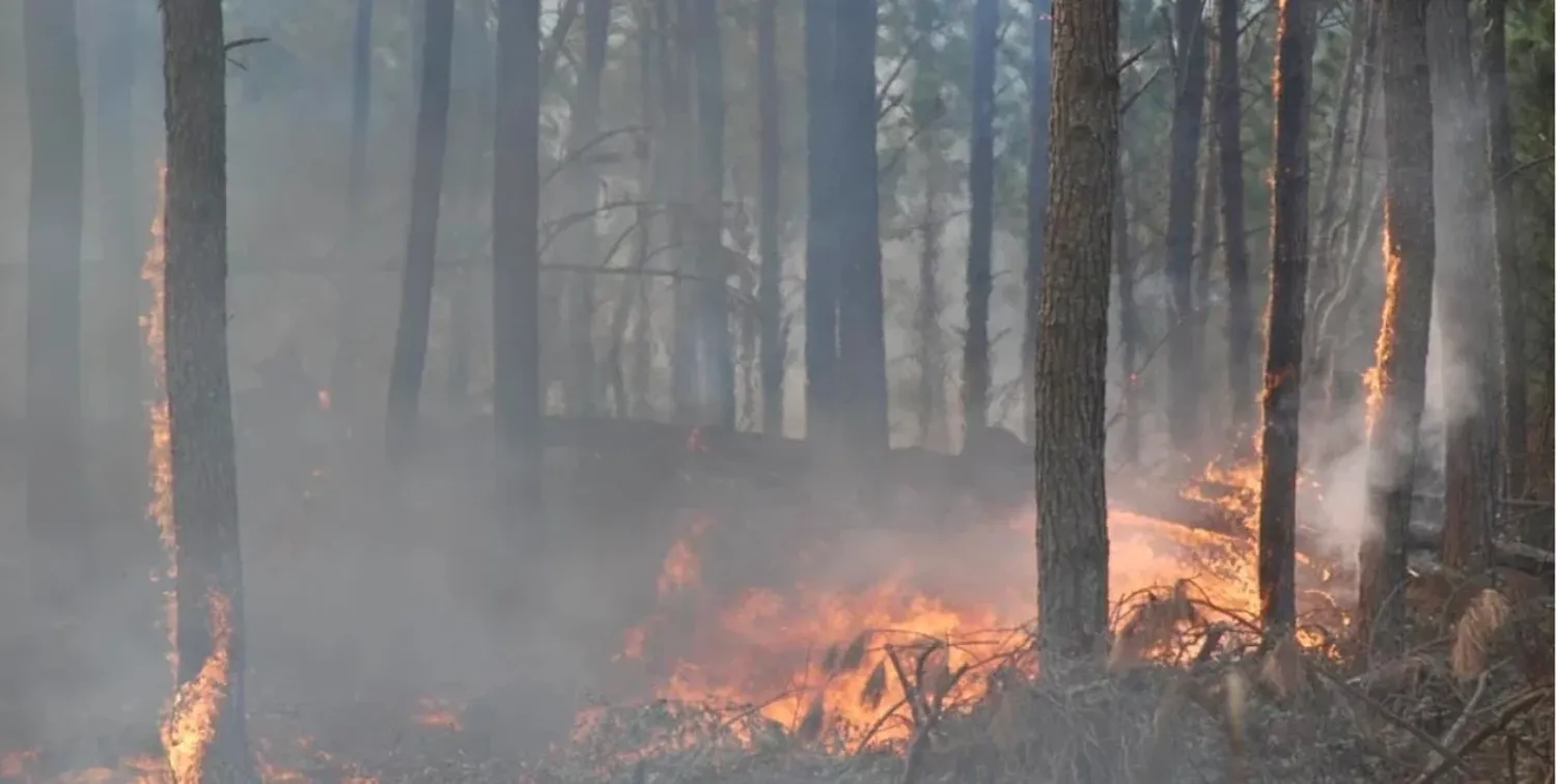 Alerta ambiental en la provincia de Córdoba: prohíben encender fuego en espacios públicos hasta fin de año