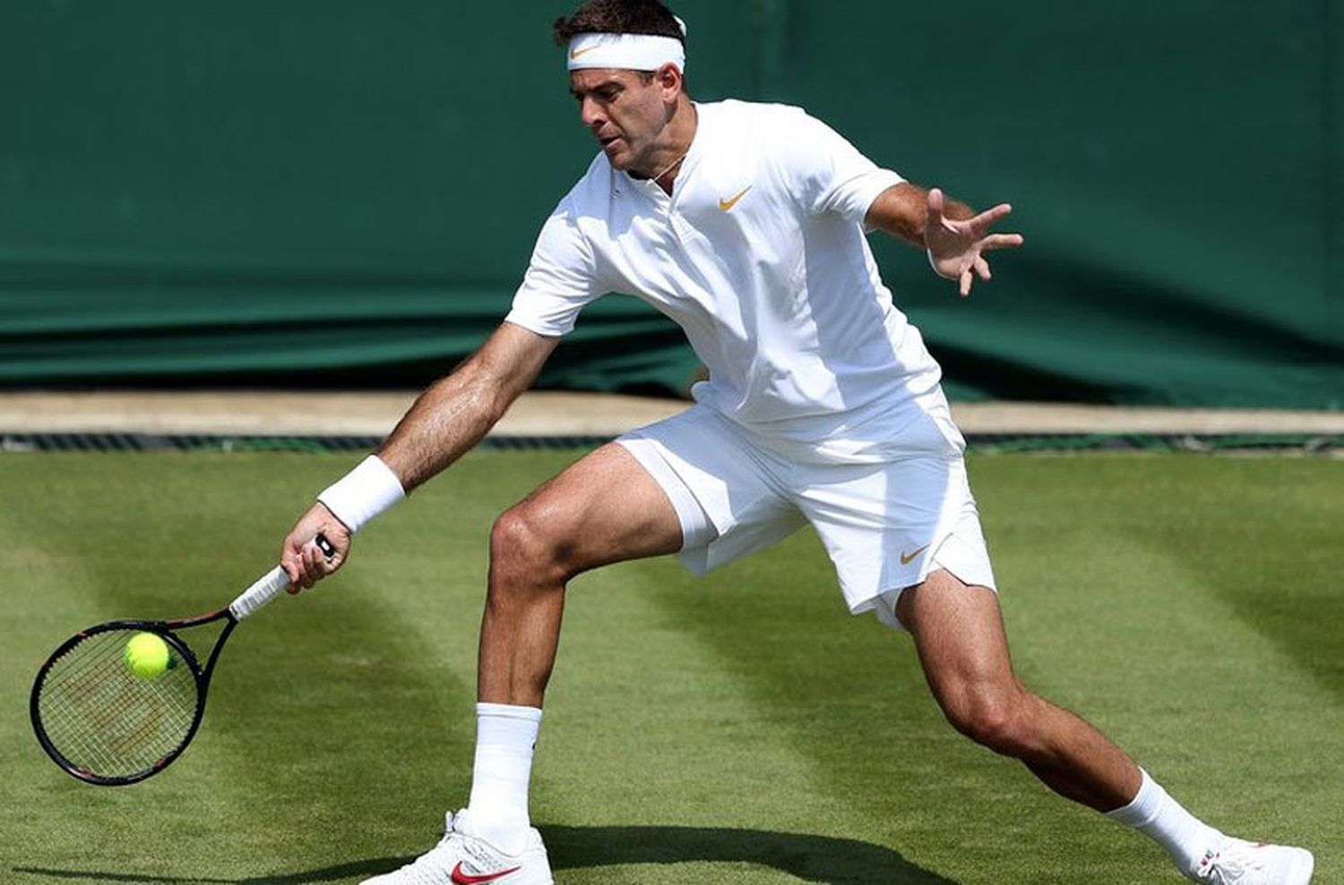 Del Potro confirmó cuál será su próximo torneo y su participación en Wimbledon