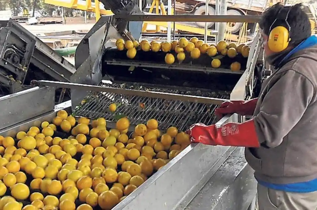 Exportaciones argentinas que no son granos y derivados crecen desde 2015