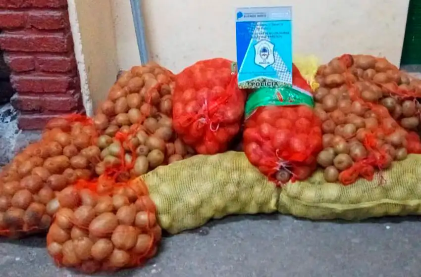 Tres hermanos robaron 100 kilos de kiwi: los atrapan con el baúl abierto