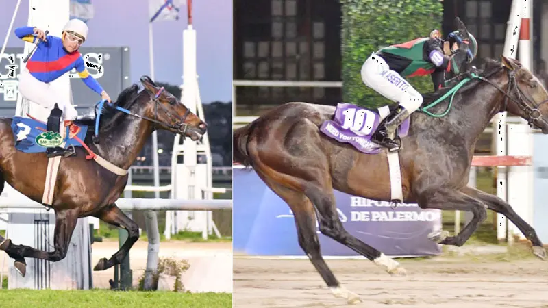 Vundu y Need You Tonight buscarán la octava victoria para la Argentina en el GP Latinoamericano (G1) en el Hipódromo da Gávea, Río de Janeiro, Brasil.