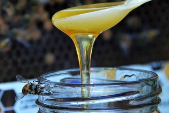 Locales gastronómicos ofrecen platos con la miel como ingrediente