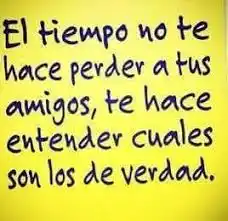 “Huir con el rabo entre las piernas…”

8ª entrega

La simulación de amistad…