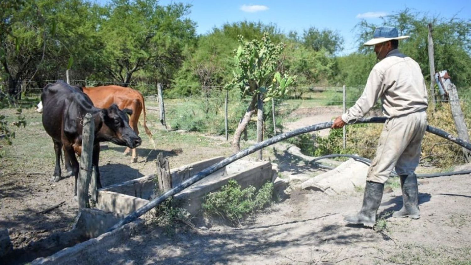 La provincia asistió por $360 millones en créditos y subsidios para 1.800 productores del norte