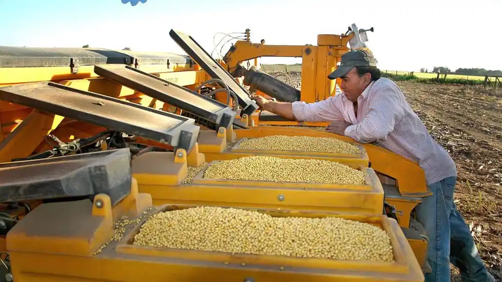 Soja: qué hacer en un mercado volátil y de riesgo climático