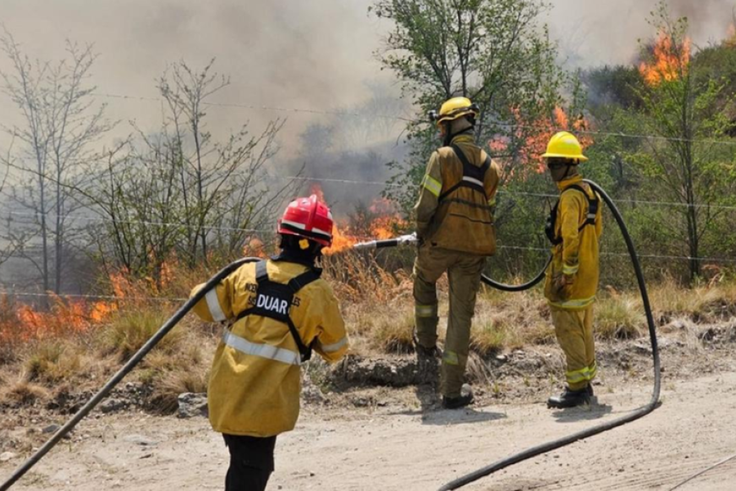 Incendio forestal en Córdoba: 14 dotaciones de bomberos trabajan para controlar las llamas en Calamuchita