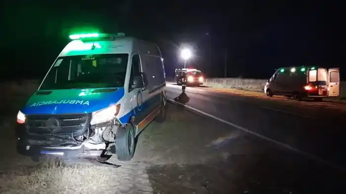Ruta 12: una ambulancia impactó contra un ciervo cerca de General Galarza