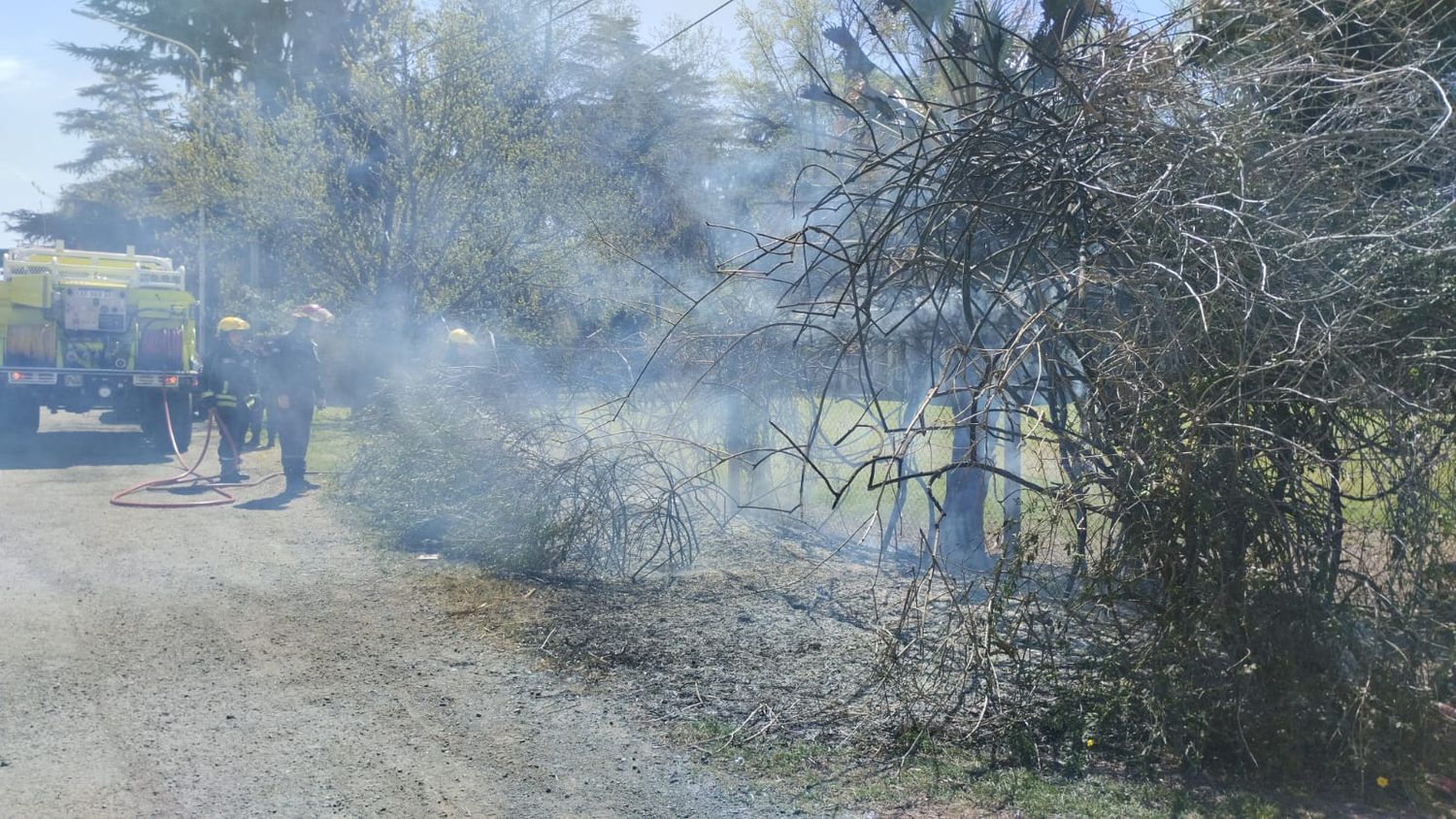 Las llamas comenzaron en plantas pero se extendieron hasta el tendido de electricidad.