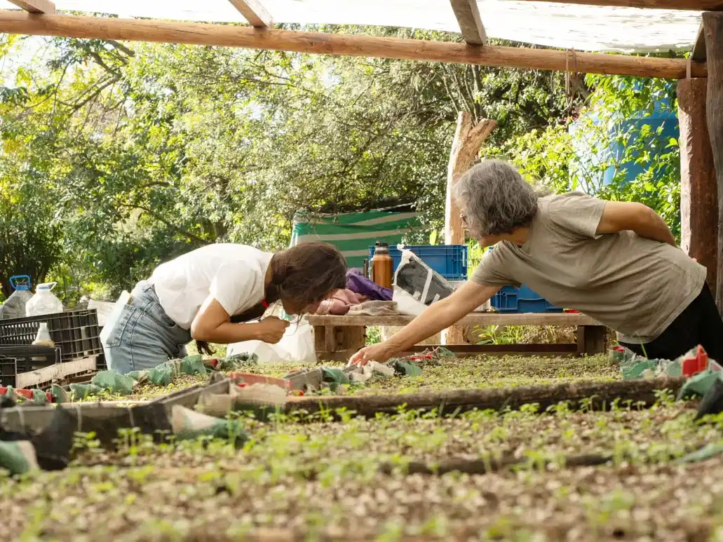 Acción Andina elimina el uso de bolsas plásticas en sus viveros y trasplantes, impulsando la restauración sin residuos