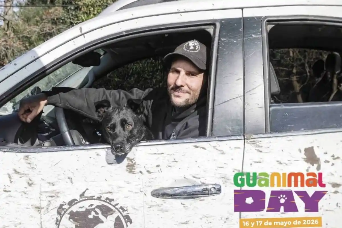 "Guanimal day" el evento en el que se realizarán castraciones, vacunaciones y atención veterinaria promaria gratis