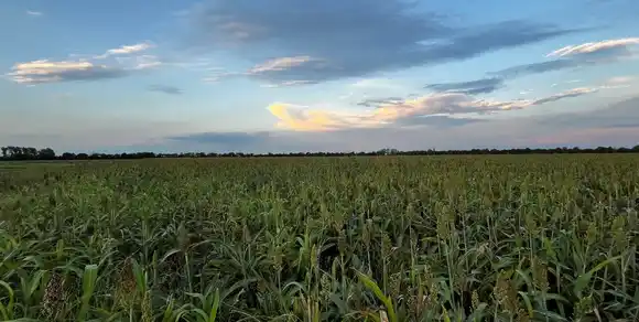 Se normalizan las lluvias, pero las altas temperaturas se extenderían hasta mayo