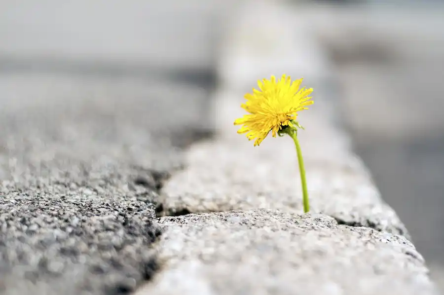 "Lo último que se pierde es la esperanza"