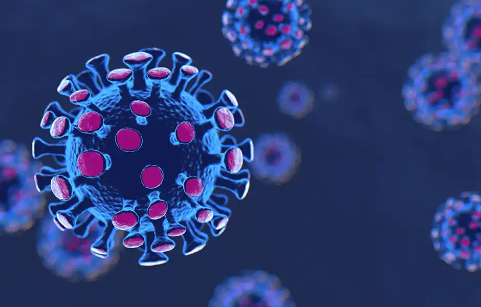#Coronavirus 4 de octubre: 981 nuevos casos y 38 muertes reportadas en las últimas 24 horas