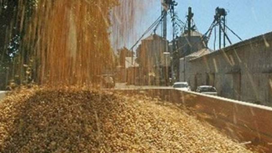 Suspenden a cerealera por no liquidar operaciones